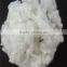 hollow conjugated polyester staple fiber 6D*64mm