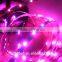 Addressable flexible WS2813 Led Strip with 30 Pixels, WS2813 5050 Led Digital Strip