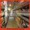 China Professional Manufacturer industrial chicken house