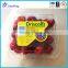 clear plastic Strawberry/blueberry/grape packaging container/box