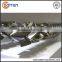 twin conical bimetallic extruder barrel and screw factory for plastic machine