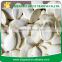 Supply Snow White Pumpkin Seeds with Good Quality