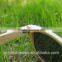 Bamboo Sunglasses China