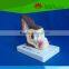 High quality for teaching and studying dog ear model