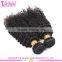 2016 Hot Sale Full Cuticle 4c Afro Kinky Curly Human Hair Weave, Mongolian Kinky Curly Hair