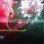 2013 Christmas Connection LED String light 2.00mm Copper wire IP65