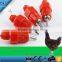 Water Nipple Drinker Chicken Feeder Poultry, Automatic Water Drinking Nipple Feeder Cups Drinker, Factory Poultry Water Nipples