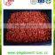 Frozen IQF strawberry dice/cube with competitive price from china/ISO 9001/RESERVE
