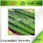 Natural Healthy Supplement Cucumber Extract