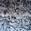 Chinese purchase frozen chunk king oyster mushroom class A