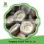High Quality Chinese Iqf Shiitake Quarter For Cook