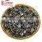 sunflower seeds 363