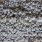 Controlled release type single super phosphate ssp 18%