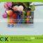 Custom eco-friendly plastic transparent card with full color printing