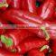 CE best selling commercial fruit and vegetable grinding machine