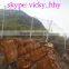SNS protection system GPS active flexible fence