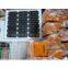 Reliable 20w Portable sola home system with low price !