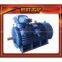 YB400-450 Series High-voltage Explosion Proof Three-phase Asynchronous Motor