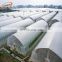 UV Treated Plastic Film Greenhouse  Agricultural