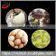 Automatic Farm Equipment Price 500 Chicken Poultry Egg Incubator