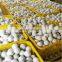 scent wool dryer ball