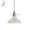 Tonghua Vintage Clear Glass Shell 21cm Hanging Light Pub Coffee Home E26 Lamp Holder Edison Light
