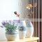 China home decor wholesale modern types of flower vase