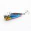 Factory Price Hot Sale Hard Lure Bait Fishing Plastic 7cm 10g Hard Bait With High Carbon Steel Hook Pesca Fishing Popper Lure