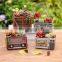 Best Price Bonsai Other Christmas Decorations Cheap Artificial Flower Pot Home Decoration And Garden Planters Radio Planter