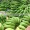 Hot sale Automatic commercial green banana peeling machine auto industrial new plantain peeler equipment cheap price for sale