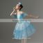 Tutus, Adult Ballet Tutu, Professional Ballet Tutu