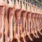 Hog Slaughter Line Pig Killing Machine Carcass Chilling Room For Slaughtering Equipment