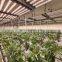 High Quality 150mm 1000m Plastic PP Plant Cucumber Net Garden Trellis Net for Plant Support