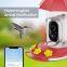 Outdoor Electronic Bird Feeder Cam Hanging Smart Humming Camera 2.4G-WIFI 3MP Hummingbird Feeder With Camera AI Identifies Bird