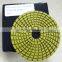 Professional Flexible Diamond Polishing Pads for Wet Polishing Granite Quality Choice Supplier's Choice