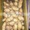 2015-2016 new crop Holland fresh potato good price