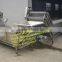 High quality fruit and vegetable blanching machine