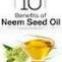 Seed Extract Neem Oil ; Cold Pressed Neem Oil ; Neem Seed Oil