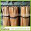 Factory varnished wooden poles for broom and mop