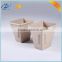 Hot selling factory directly wholesale molded paper apple tray
