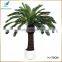 home decoration wholesale dried artificial cycas revoluta tree for sale