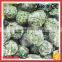 Fresh Frozen Chopped Spinach Leaf Balls Price