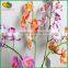 real touch flowers wholesale fake vanda orchid artificial butterfly orchid flowers plastic flowers for sale