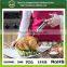 Best poultry or meat injector
