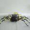 learning resource jumbo inflatable insect giant inflatable spider