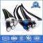 Top Selling High Quality Professional 1000V ABC Cable