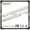 car rear window led music lights led borderline