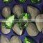 Light Green Color 20x30mm Drop Shaped Metal Claw Pointback Fancy Crystal Rhinestone For Bracelet