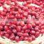 supplying CHINA red kidney beans