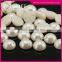 Simple Two Hole Round Shape Rhinestones Sewing Accessories for Clothing